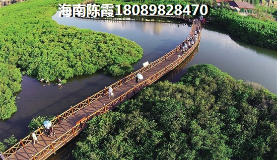 宇诚·椰风浪琴公积金贷款的条件是什么？“候鸟”老人买房公积金攻略！