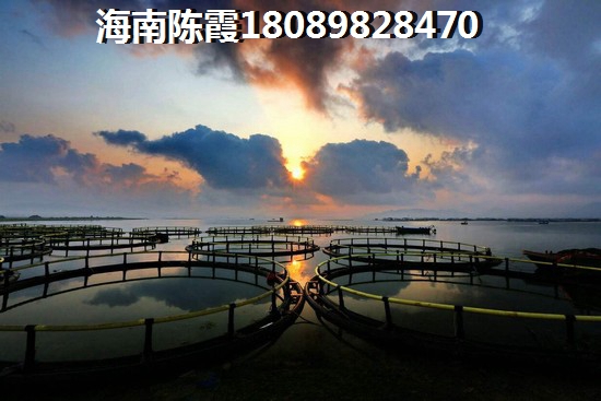 龙禧湾·偶寓这么火，但你了解“候鸟”如何评价的吗？