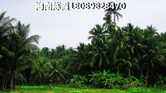 千万不要去文昌买房子？天成铂金海寓升值空间分析~